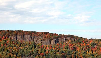 The 19 Prettiest Places to See Fall Foliage Near New York City