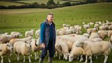 U.K. Bedding Company Woolroom’s Quest for Sustainability