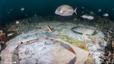 See it: Ancient Roman underwater mosaic discovered off Italian coast