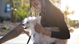 Top Dog-Sitting Etiquette Tips for Pet Sitters