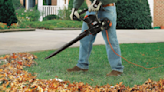 Black + Decker's leaf blower ‘cuts yard work time in half’ — and it's on sale for $53