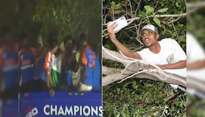 Virat Kohli's Reaction As Fan Climbs On Tree To See T20 World Cup Victory Parade Is All Of Us | Cricket News