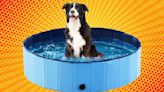 Hot diggity dog! This foldable pup pool is on sale, starting at just $28