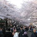 Ueno Park