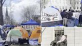 Harvard tent city pops up as Princeton students prep own anti-Israel protest despite warnings: ‘Immediately barred from campus’