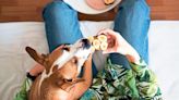 Busting pet diet myths | Mint