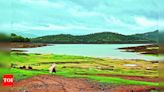 Water Release for Kharif Crops as Dams Reach 45% Capacity | Pune News - Times of India