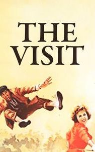 The Visitor