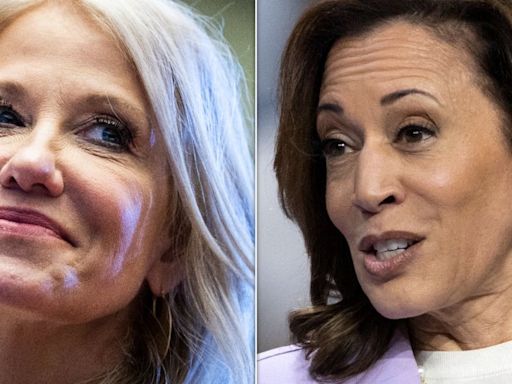 Kellyanne Conway's Dig At Kamala Harris Goes Left After She Fires Off... Compliments