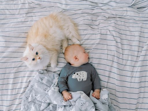 Cat's Obsession Over New Human Baby Is the Definition of Love