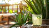 Cómo preparar el jugo detox de aloe vera y limón que te ayudará a limpiar tu organismo