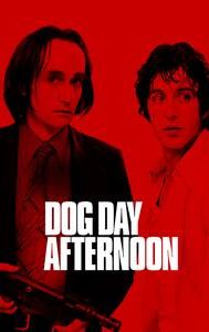 Dog Day Afternoon