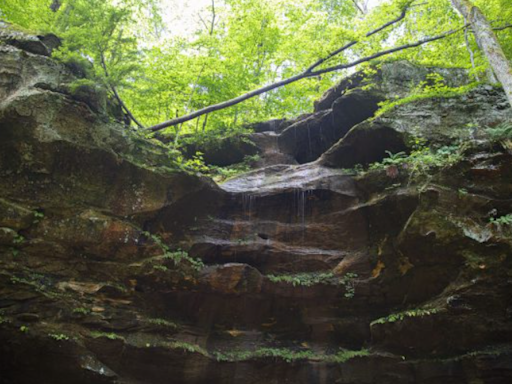 5 hidden gems to visit in Indiana's Hoosier National Forest this summer