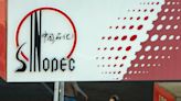 Sinopec 2023 Profit Falls 13% on Oil Prices, Refining Record