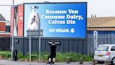 'Go vegan' billboard put up in town after commuter was told oat milk 'off menu'