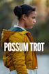 Possum Trot