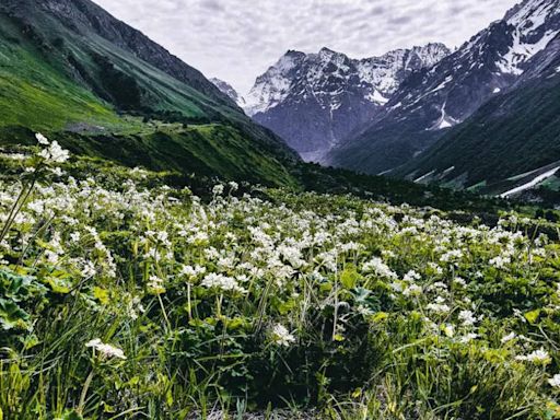 Best treks in India for the month of July - Valley of Flowers Trek