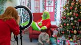 Grinch-themed Christmas photos look fun, could have serious legal consequences