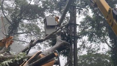 凱米颱風造成嘉義山海區3071戶停電 台電搶修中