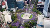 Las jacarandas, la huella perdurable de un migrante japonés en México que respondió al capricho de un presidente