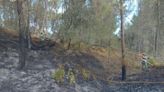 Es declara un nou incendi en una zona ja arrasada per les flames a la Pobla del Duc