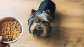 Orijen: Has the Dog Food Brand Issued a Recall in 2024?