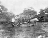 Royal Aircraft Factory F.E.2