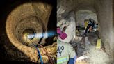 Dog survives 60 feet fall into El Dorado County mine shaft