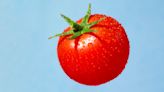 Is it better for you to eat tomatoes or drink tomato juice? Dietitian explains health benefits