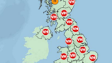 Hay fever warning as Met Office 30C heatwave brings pollen bomb