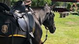 Michigan War Dog Memorial Cemetery to allow mounted division horse burials