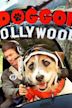 A Doggone Hollywood