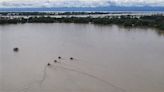 Flood situation in Assam remains grim, 11.5 lakh people across 23 districts affected