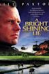 A Bright Shining Lie (film)