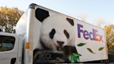 The fuzzy geopolitics of the giant pandas’ return to China