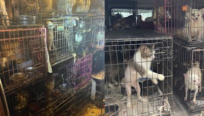 26 dogs, 12 cats taken from trailer to Ashtabula County Animal Protective League