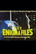 The Enigma Files