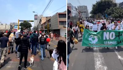 Protesta en Perú contra criaderos clandestinos de mascotas: activistas exigen fin al maltrato y comercio de animales