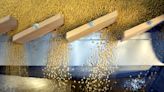 Argentina soy farmers wait on rising prices to sell rain-drenched crop By Reuters