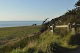 Fort Ebey State Park