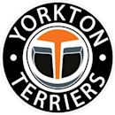 Yorkton Terriers