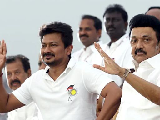 DMK's Udhayanidhi Stalin Gets Bail In "Sanatana Dharma" Remarks Case