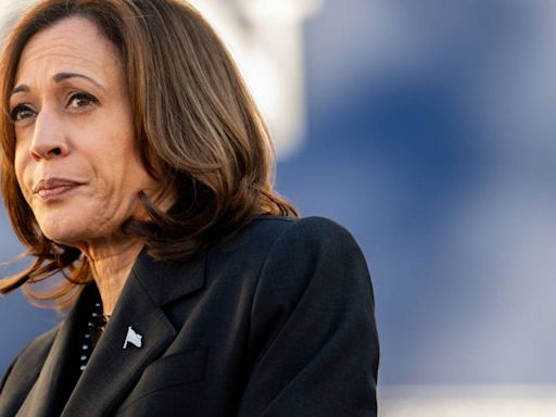 ¿Kamala Harris y quién más? Estos son los nombres que suenan para la vicepresidencia