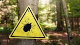 In the public health: How to protect yourself against mosquitoes, ticks and the diseases they carry