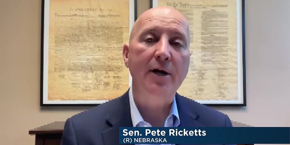 Pete Ricketts in support of forcing TikTok parent company to sell or face ban