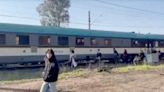 El tren Santiago-Temuco se descarrila en La Araucanía durante su viaje inaugural, con 250 pasajeros