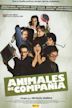 Animales de compañía