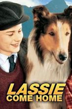 Torna a casa, Lassie!