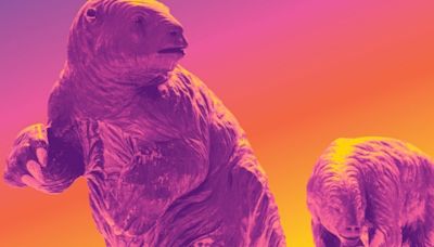 Join a free sloth soirée at the La Brea Tar Pits