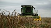 Mexico Needs American Corn Farmers Over Protectionism